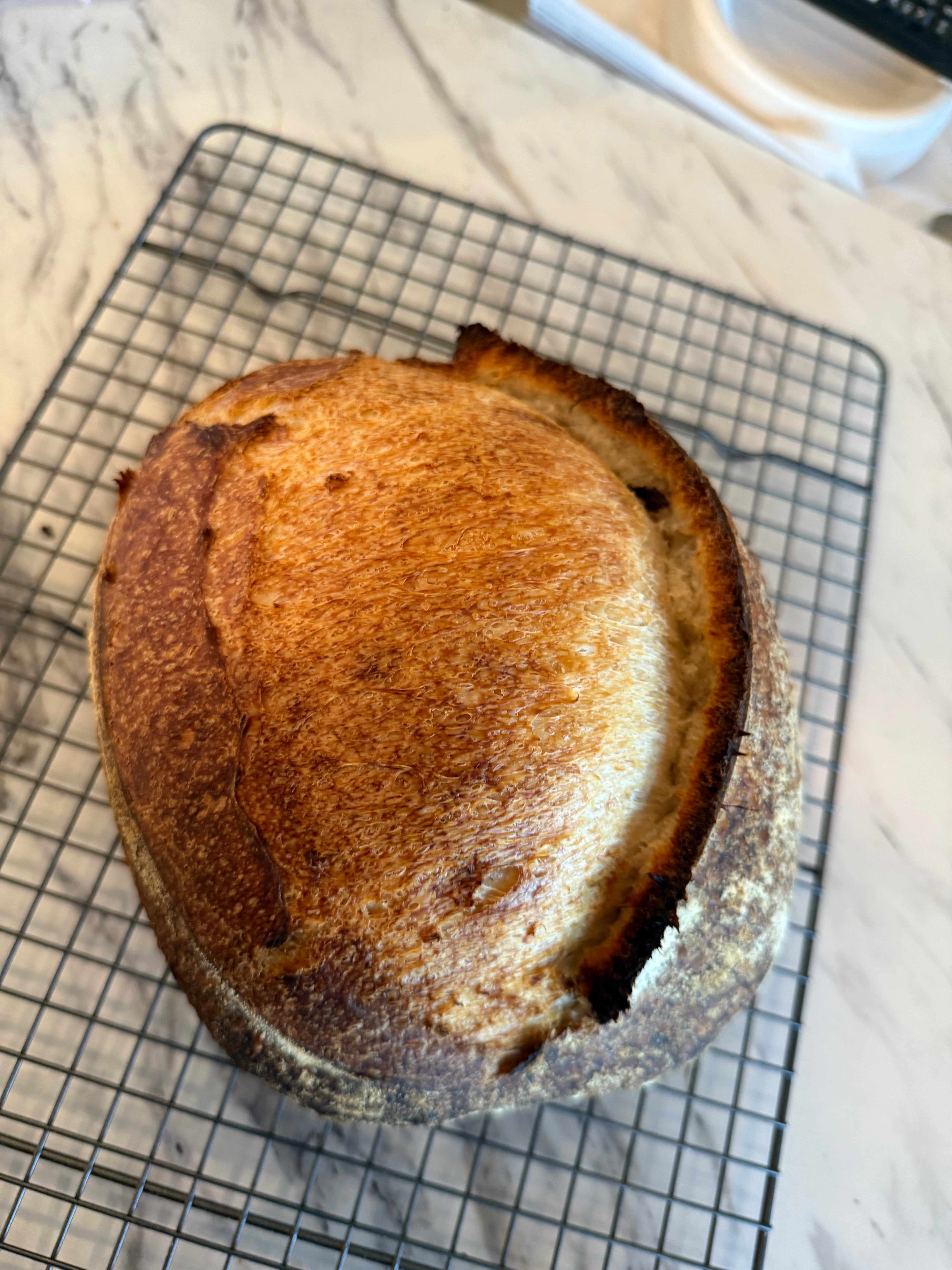 Sourdough
